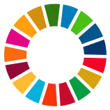 Committed to the SDG Index
